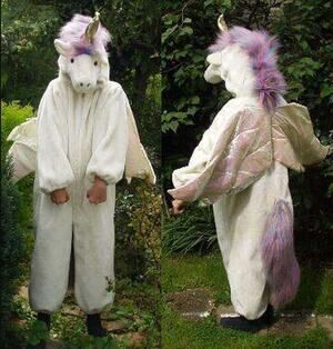 Plush Unicorn Pegasus Costume Wings Rainbow Tail Girls Boys 7 8 Costco